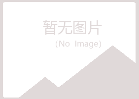 巫山县从安会计有限公司